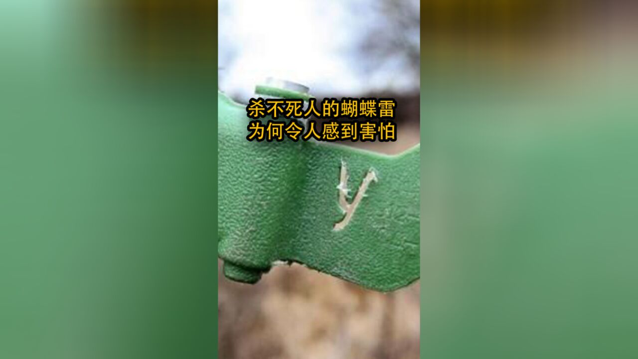 杀不死人的蝴蝶雷,为何令人感到害怕?