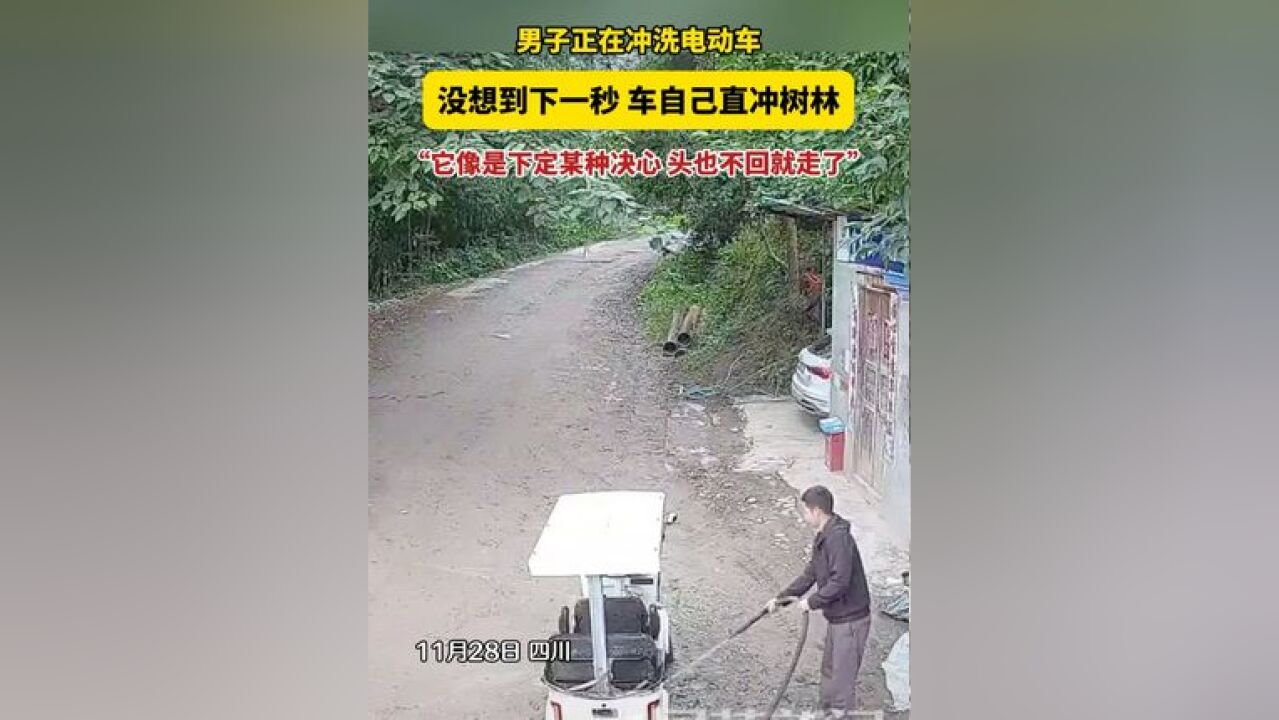 男子正在冲洗电动车 没想到下一秒 车自己直冲树林 “它像是下定某种决心 头也不回就走了”