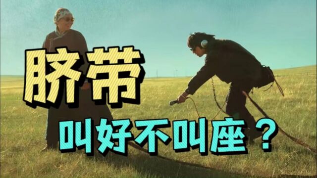 姚晨夫妇监制文艺片《脐带》上映,质感高级,故事感人,但叫好不叫座