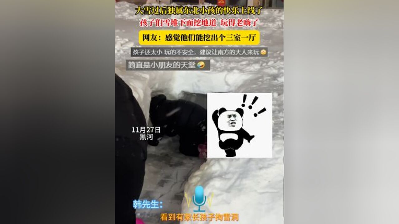 大雪过后独属东北小孩的快乐上线了,孩子们雪堆下面挖地道 玩得老嗨了,网友:感觉他们能挖出个三室一厅 #下雪了 #挖地道