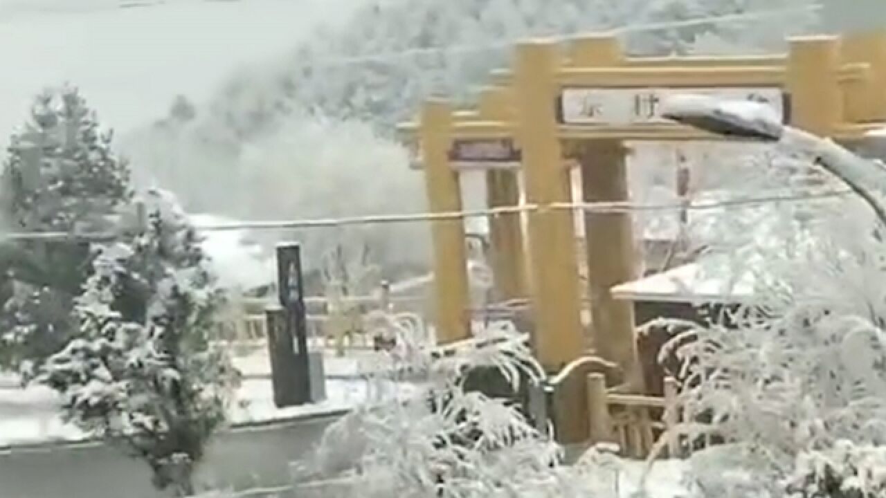 秒回冬季!北京房山海拔1000米以上地带飘雪,最低气温8℃