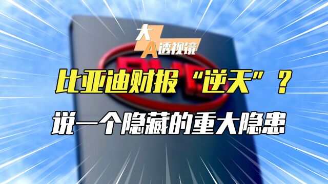 比亚迪财报“逆天”?注意这些风险点