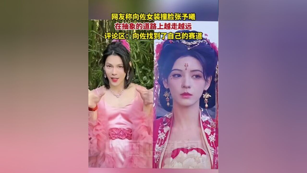 网友称向佐女装撞脸张予曦,在抽象的道路上越走越远