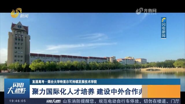 烟台大学特里尔可持续发展技术学院:建设中外合作办学新高地