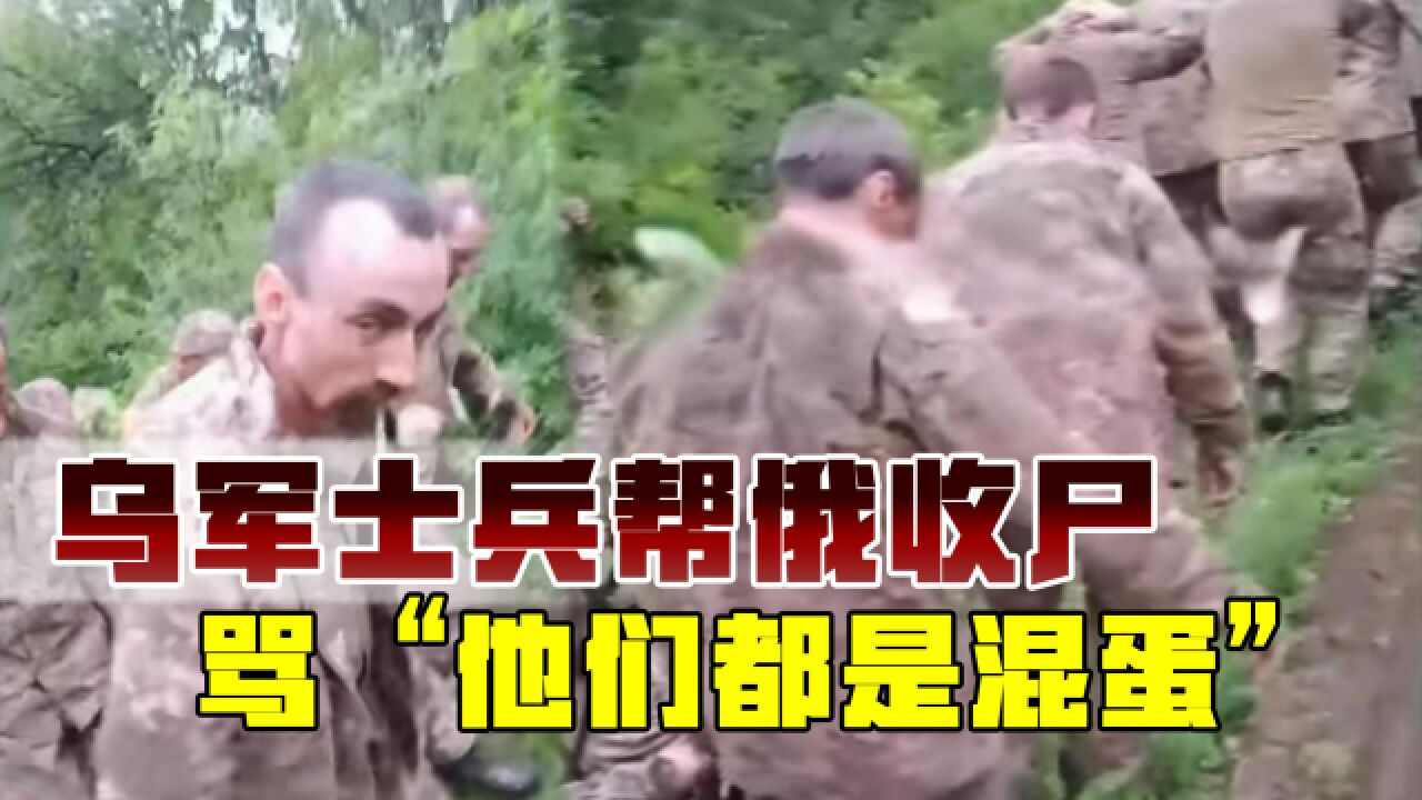 增援变收尸,20名乌军士兵前线投降,大骂政客“是混蛋”