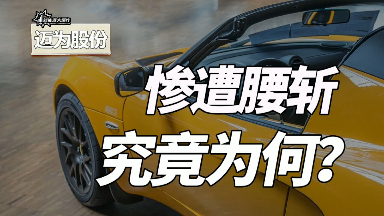 垄断全球80%市场,超级成长龙头腰斩,究竟是机会还是陷阱?