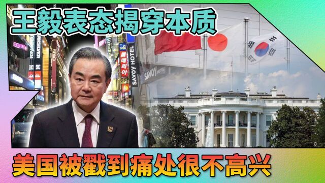 王毅一番话,让美国很不高兴,欧美分不清中日韩,中国应更加强大