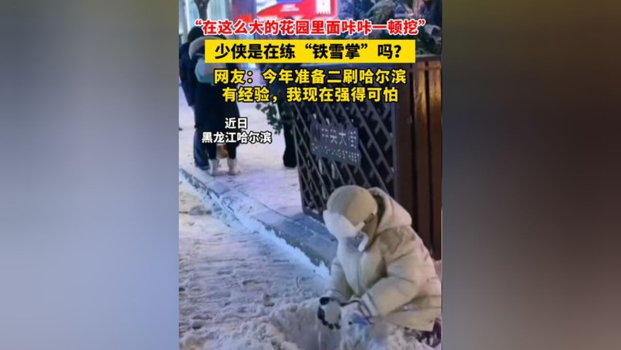 “在这么大的花园里面咔咔一顿挖” 少侠是在练“铁雪掌”吗?