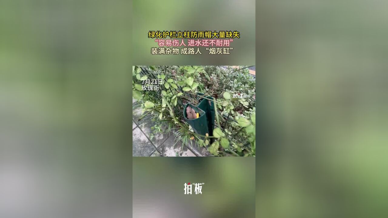 绿化护栏防雨帽大量缺失,成了“垃圾桶”