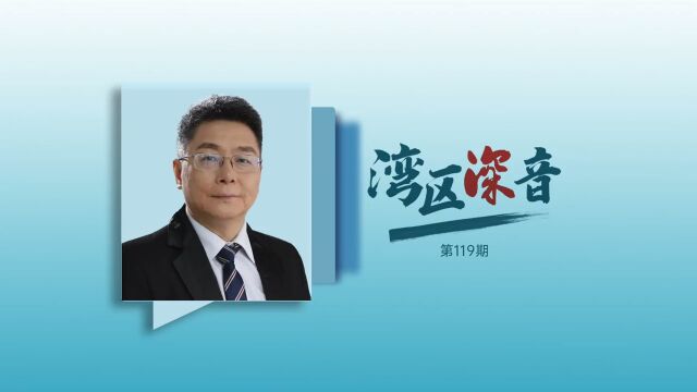 湾区深音丨谭刚:深圳高质量发展仍然需要激发改革开放创新三大动力