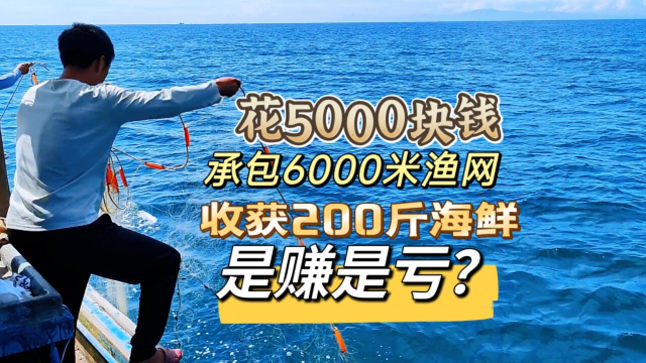 花5000块钱承包6000米渔网,捕获200斤海鲜,这样是亏是赚?