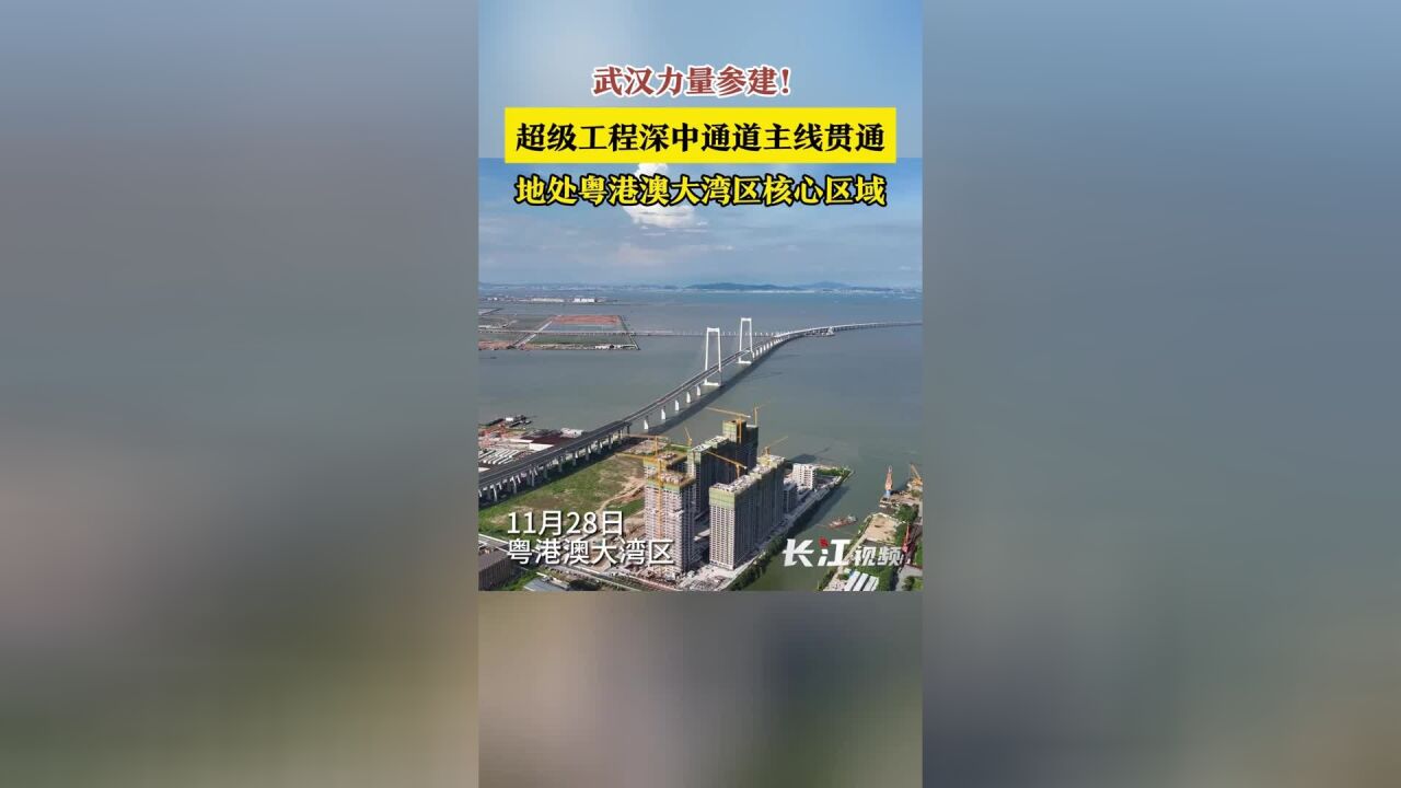 武汉力量参建!超级工程深中通道主线贯通