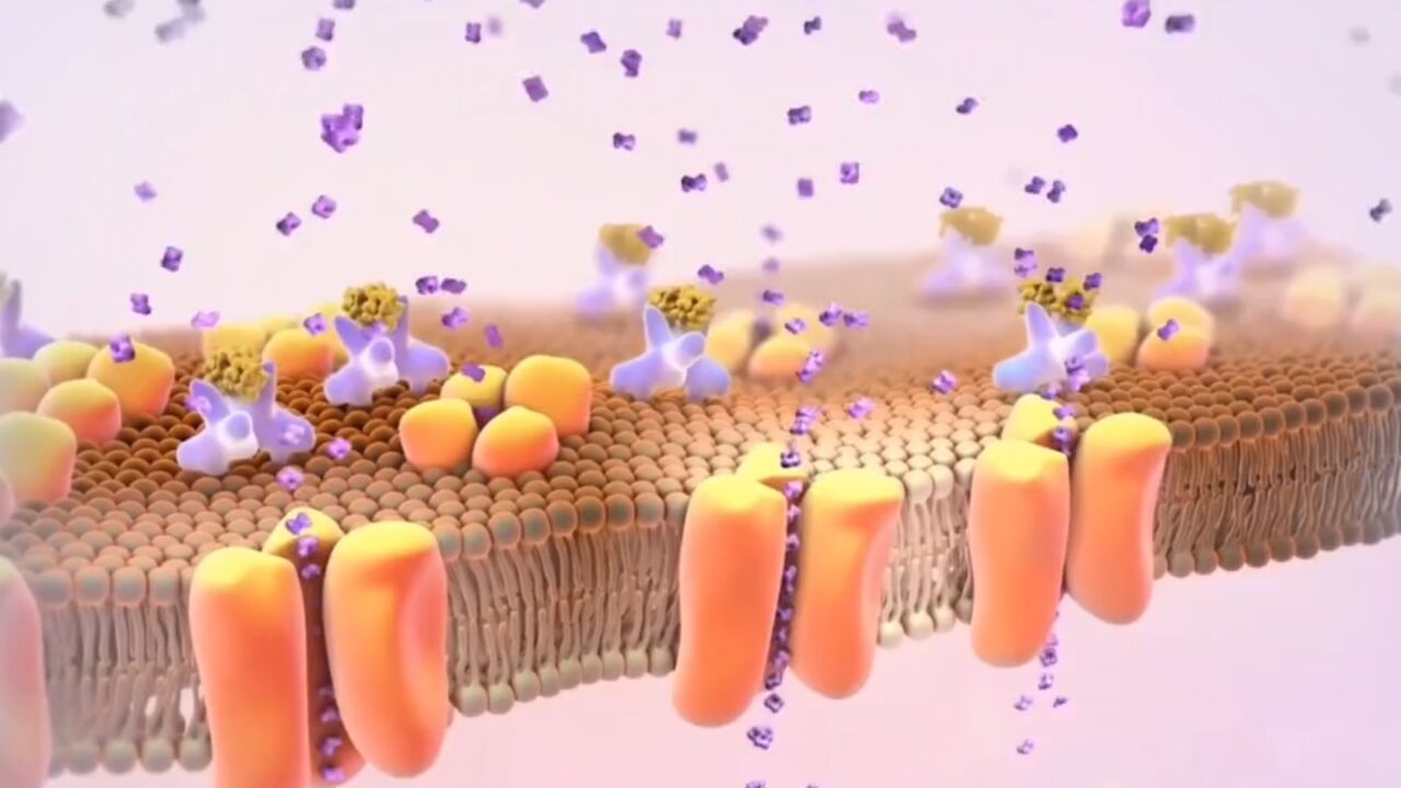 世界首例自体再生胰岛移植成功,25年糖尿病病史患者被治愈