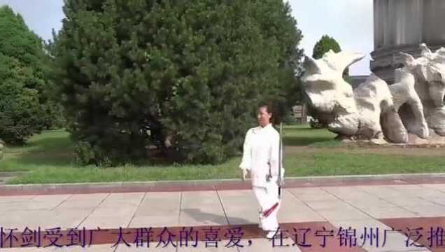 抒怀剑一剪梅全套演练