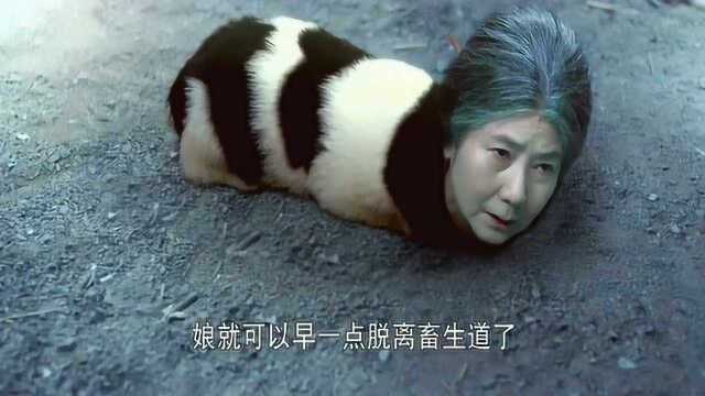 母亲去世投胎畜生道,全因屠夫儿子宰杀太多狗狗,最后后悔莫及