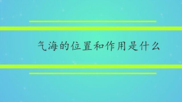 气海的位置和作用是什么