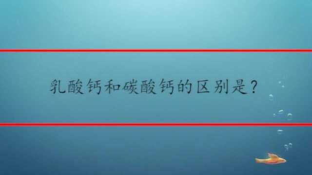 乳酸钙和碳酸钙的区别是?