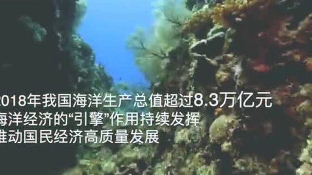 向海图强,建设海洋强国