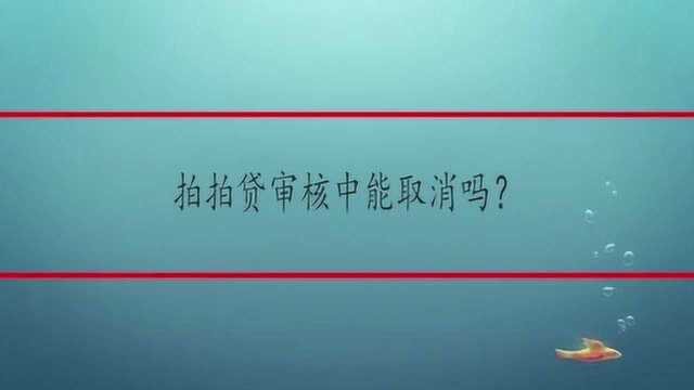 拍拍贷审核中能取消吗?