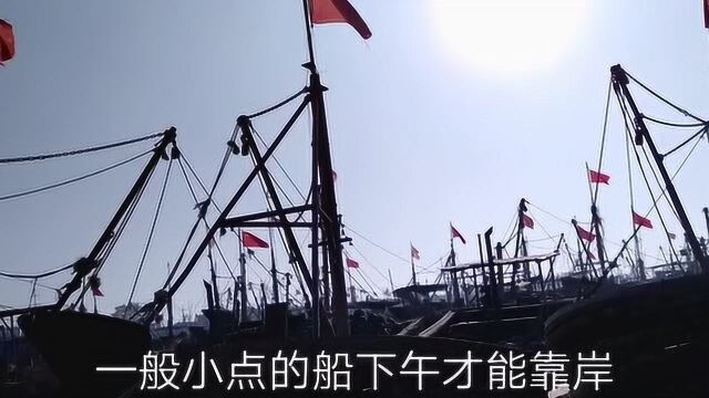 新开口码头购海鲜赴保定