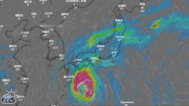 17级以上!台风海贝斯飞速爆发问鼎今年风王,日本难逃一劫?