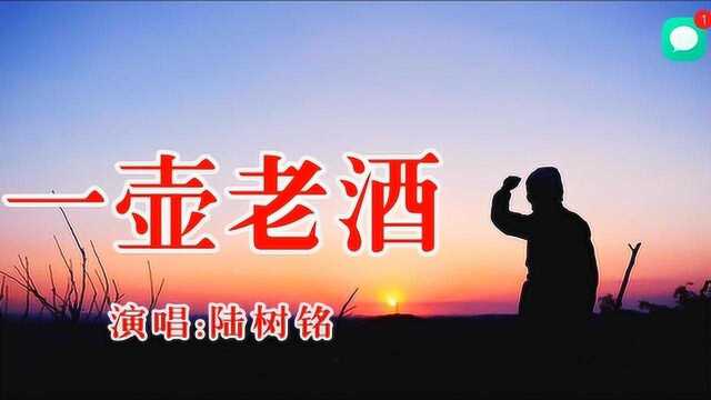 陆树铭《一壶老酒》,热播歌曲,好听推荐啦!