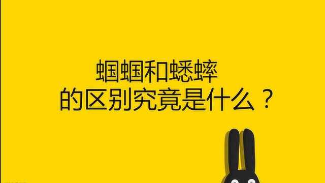 蝈蝈和蟋蟀的区别究竟是什么?