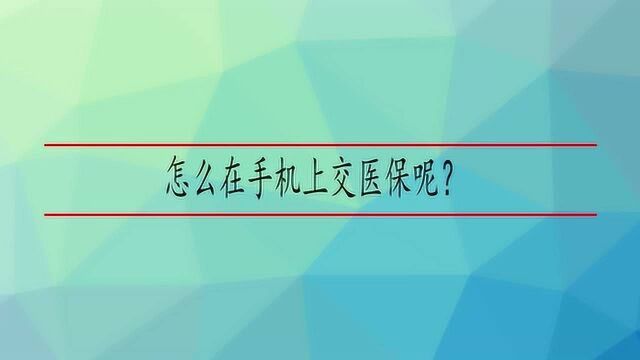 怎么在手机上交医保呢?