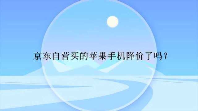 京东自营买的苹果手机降价了吗?