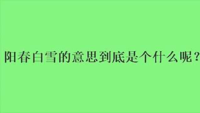 阳春白雪的意思到底是个什么呢?