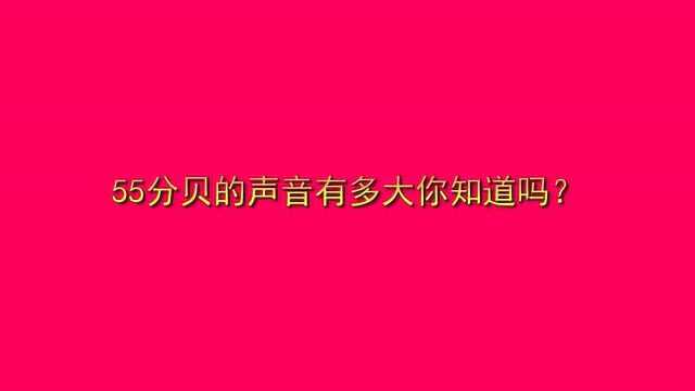 55分贝的声音有多大你知道吗?