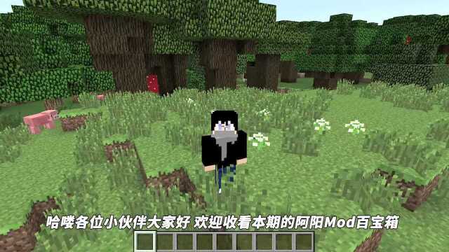 我的世界Mod:河豚做的屋子无敌!河豚也能被拿来做装备和建筑?