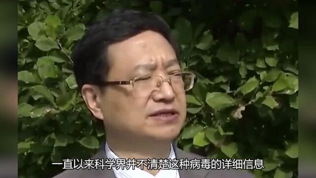 喜讯!中国科学家让非洲猪瘟病毒首次“现原形”,原来长这样