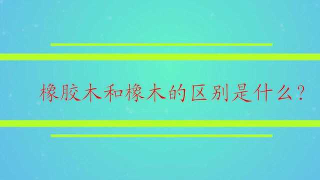 橡胶木和橡木的区别是什么?