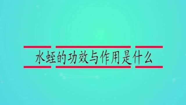 水蛭的功效与作用是什么