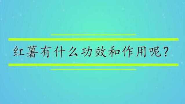 红薯有什么功效和作用呢?