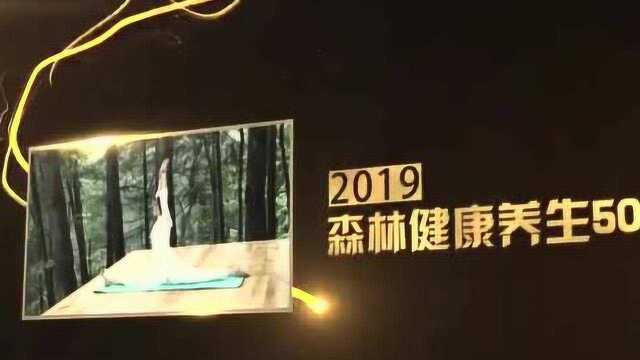 2019中国森林旅游节|龙象天和荣获中国森林健康养生地50佳