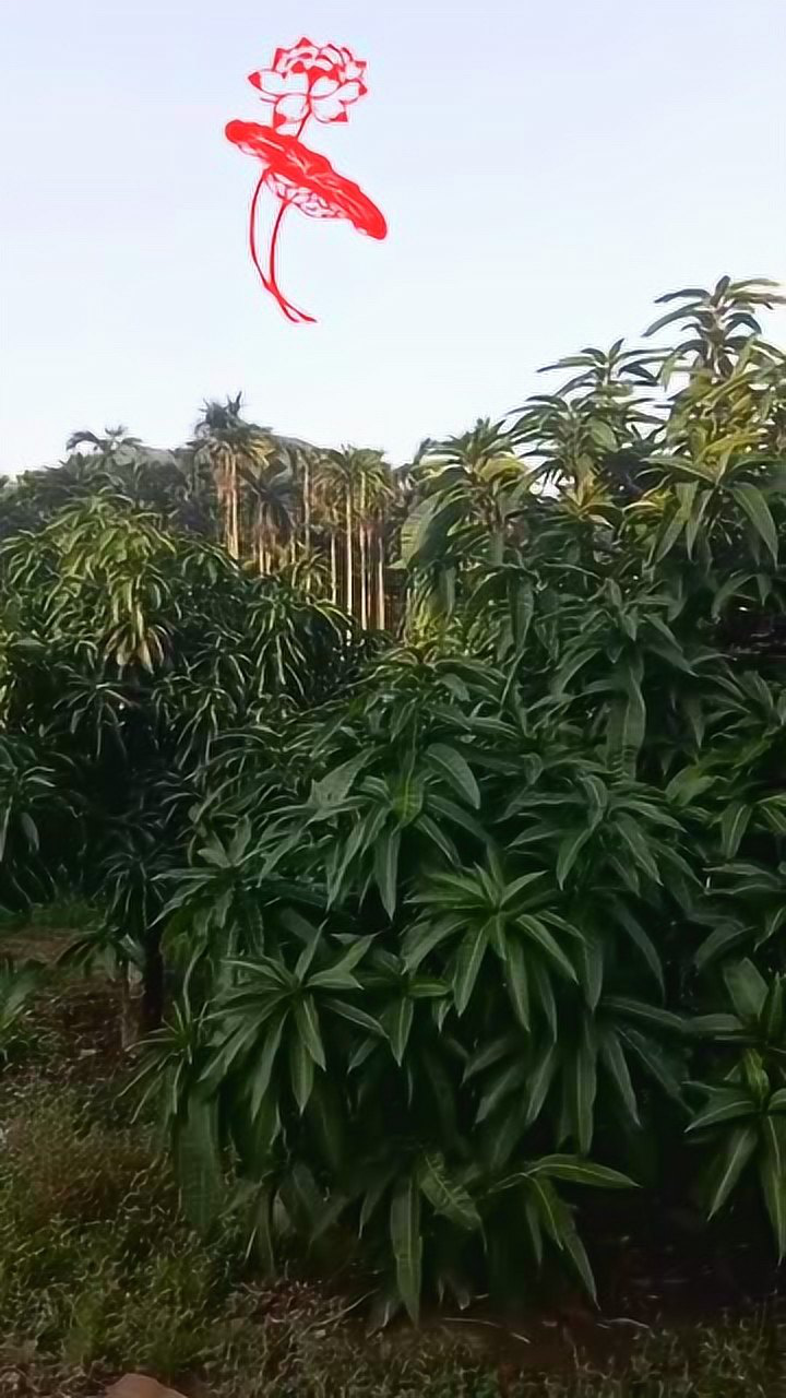 海南三亚农村的山沟沟