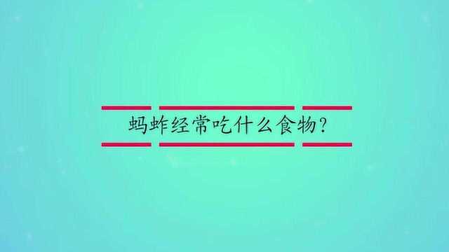 蚂蚱经常吃什么食物?