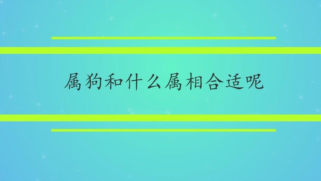 属狗和什么属相合适呢