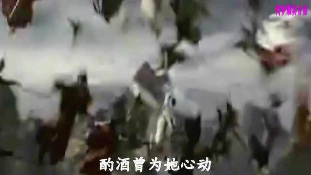 李玉刚  梦回诛仙(《诛仙手游》情怀主题曲伴奏)