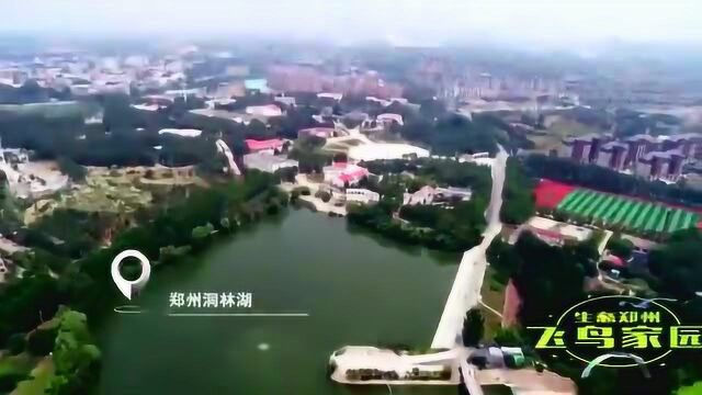 河南首部城市鸟类纪录片拍摄地:生态郑州 飞鸟家园