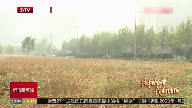 博兴街道:吹哨报道 多部门联手解决居民诉求