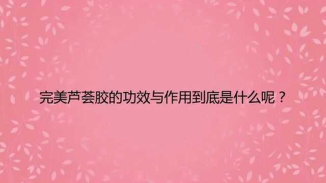 完美芦荟胶的功效与作用到底是什么呢?