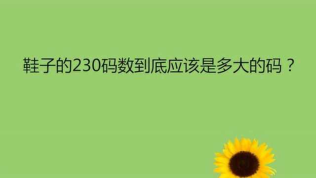 鞋子的230码数到底应该是多大的码?