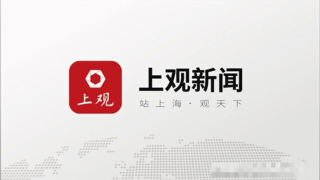 进博会最“神秘”展区高清图在此!这些高级别官员要来