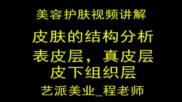 皮肤的结构分析表皮层真皮层皮下组织层