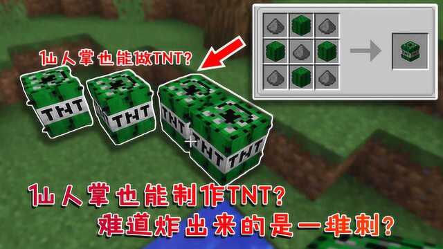 我的世界:TNT的8种隐藏特性!原来官方早已设计出水下版TNT!