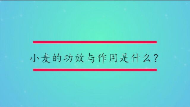 小麦的功效与作用是什么?