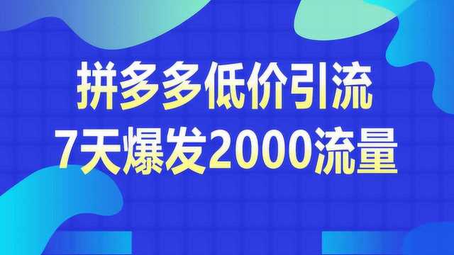 拼多多低价引流7天爆发2000流量